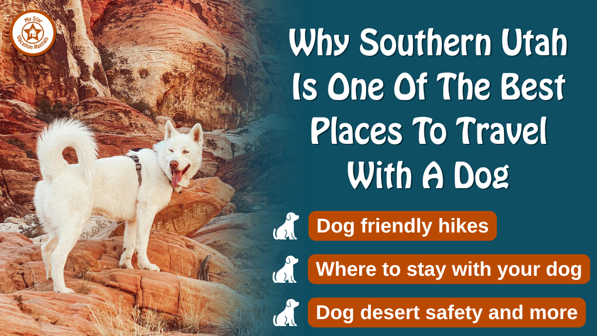 Dog on red rock cliffs in Southern Utah near Kanab, showing travel with a dog and pet friendly desert hiking
