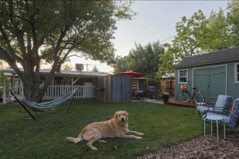 Dog relaxing in a private yard at a pet friendly vacation rental in Kanab Utah, showing a comfortable place to travel with a dog near Zion and Bryce Canyon. My Star Vacation Rentals.